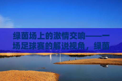 绿茵场上的激情交响——一场足球赛的解说视角,绿茵激情交响,足球赛解说视角