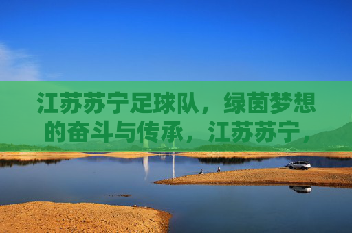 江苏苏宁足球队,绿茵梦想的奋斗与传承,江苏苏宁,绿茵梦想的奋斗与传承