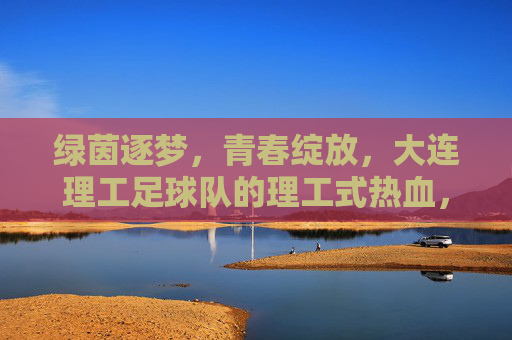 绿茵逐梦,青春绽放,大连理工足球队的理工式热血,绿茵逐梦,理工热血青春