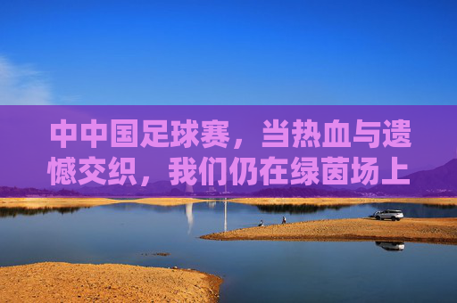 中中国足球赛,当热血与遗憾交织,我们仍在绿茵场上守望,热血遗憾交织,绿茵守望中国足球