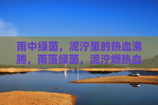 雨中绿茵，泥泞里的热血沸腾，雨落绿茵，泥泞燃热血