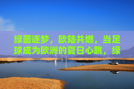 绿茵逐梦，欧陆共燃，当足球成为欧洲的夏日心跳，绿茵逐梦，欧陆共燃，欧洲夏日的足球心跳