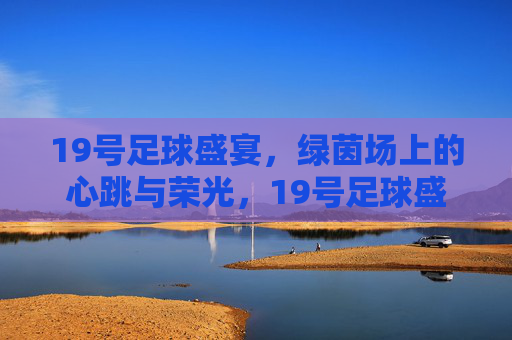 19号足球盛宴，绿茵场上的心跳与荣光，19号足球盛宴，绿茵荣光与心跳