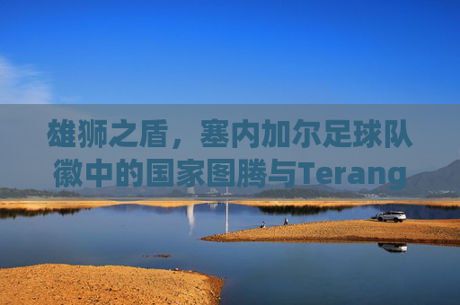 雄狮之盾,塞内加尔足球队徽中的国家图腾与Teranga精神,雄狮之盾,塞内加尔足球队徽中的国家图腾与Teranga精神