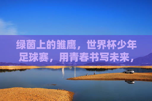 绿茵上的雏鹰，世界杯少年足球赛，用青春书写未来，雏鹰绿茵逐梦，世界杯少年书写未来