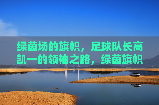绿茵场的旗帜,足球队长高凯一的领袖之路,绿茵旗帜,高凯一的领袖之路