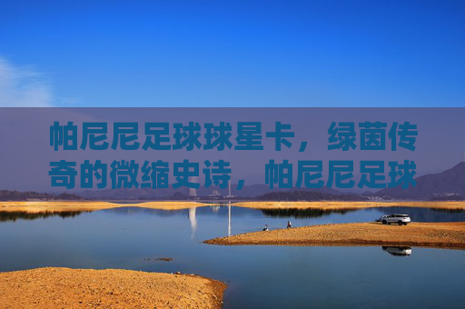 帕尼尼足球球星卡，绿茵传奇的微缩史诗，帕尼尼足球球星卡，绿茵传奇的微缩史诗