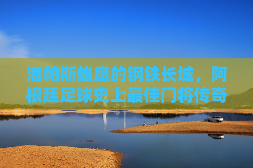 潘帕斯雄鹰的钢铁长城，阿根廷足球史上最佳门将传奇，潘帕斯雄鹰的钢铁长城，阿根廷足球史上最佳门将传奇