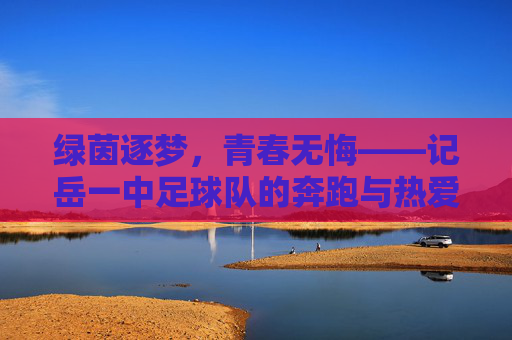 绿茵逐梦,青春无悔——记岳一中足球队的奔跑与热爱