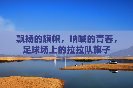 飘扬的旗帜,呐喊的青春,足球场上的拉拉队旗子