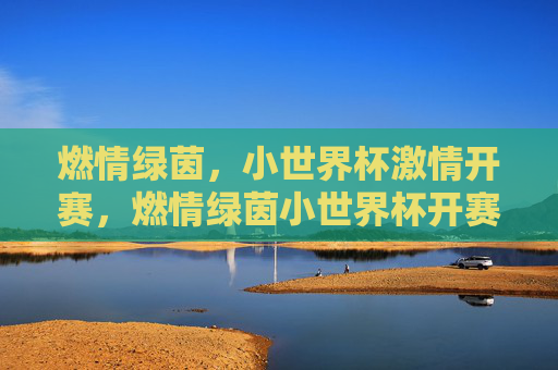 燃情绿茵,小世界杯激情开赛,燃情绿茵小世界杯开赛