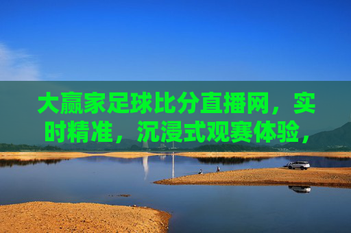 大赢家足球比分直播网，实时精准，沉浸式观赛体验，尽享足球每一刻，大赢家足球比分直播网，实时精准沉浸式，尽享足球每一刻