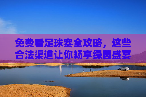 免费看足球赛全攻略,这些合法渠道让你畅享绿茵盛宴,免费看足球赛合法全攻略,畅享绿茵盛宴