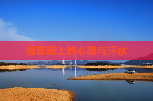 绿茵场上的心跳与汗水