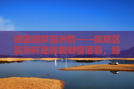 绿茵逐梦瀛洲情——崇明区瀛洲杯足球赛燃情落幕,绿茵逐梦瀛洲情——崇明区瀛洲杯足球赛燃情落幕