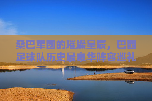 桑巴军团的璀璨星辰,巴西足球队历史最豪华阵容巡礼,桑巴军团的璀璨星辰,巴西历史最豪华阵容巡礼