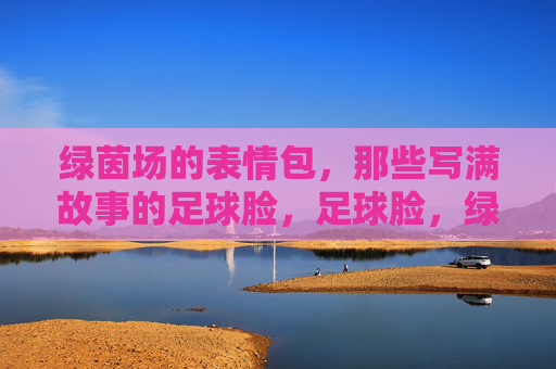 绿茵场的表情包，那些写满故事的足球脸，足球脸，绿茵场的故事表情包