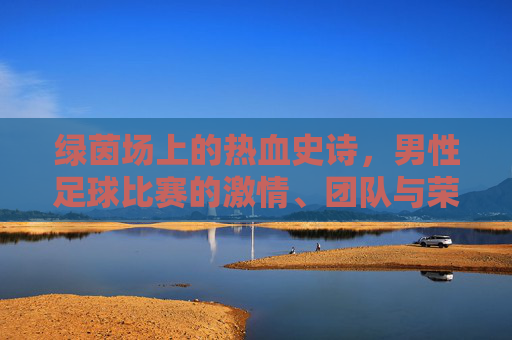绿茵场上的热血史诗,男性足球比赛的激情、团队与荣耀,绿茵热血史诗,足球激情、团队与荣耀