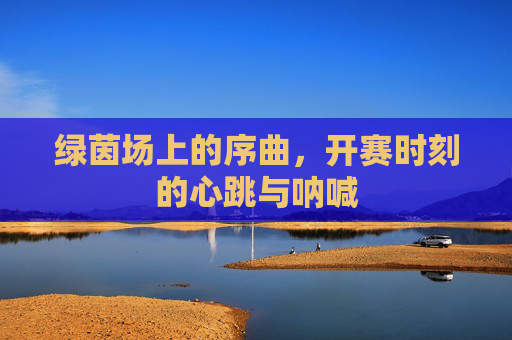 绿茵场上的序曲,开赛时刻的心跳与呐喊