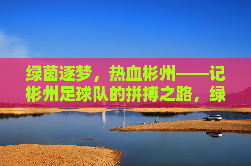 绿茵逐梦，热血彬州——记彬州足球队的拼搏之路，绿茵逐梦，热血拼搏——彬州足球队征途