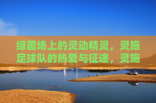 绿茵场上的灵动精灵,灵施足球队的热爱与征途,灵施足球队,绿茵场上的灵动精灵与热爱征途