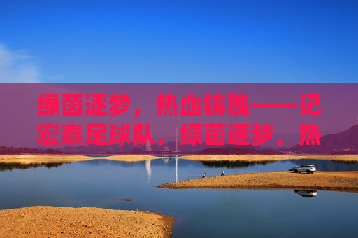 绿茵逐梦，热血铸魂——记宏泰足球队，绿茵逐梦，热血铸魂——宏泰足球队