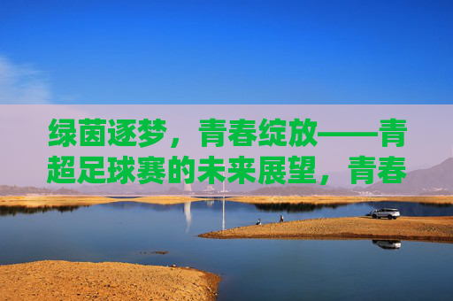 绿茵逐梦，青春绽放——青超足球赛的未来展望，青春逐梦，青超足球赛未来展望