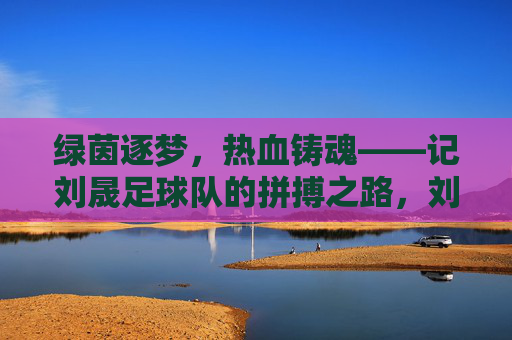 绿茵逐梦，热血铸魂——记刘晟足球队的拼搏之路，刘晟足球队，逐梦绿茵，热血铸魂