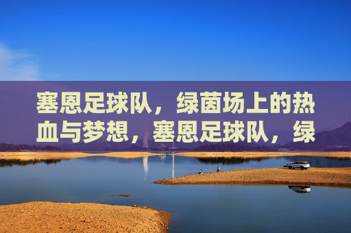 塞恩足球队，绿茵场上的热血与梦想，塞恩足球队，绿茵场上的热血与梦想