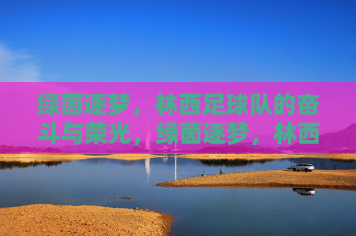 绿茵逐梦,林西足球队的奋斗与荣光,绿茵逐梦,林西足球队的奋斗荣光