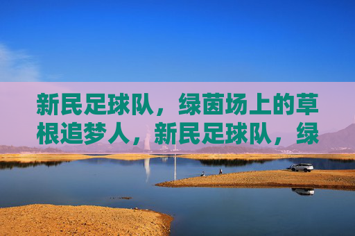 新民足球队，绿茵场上的草根追梦人，新民足球队，绿茵场上的草根追梦人