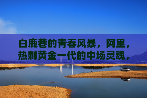白鹿巷的青春风暴，阿里，热刺黄金一代的中场灵魂，白鹿巷中场灵魂阿里，热刺黄金一代的青春风暴