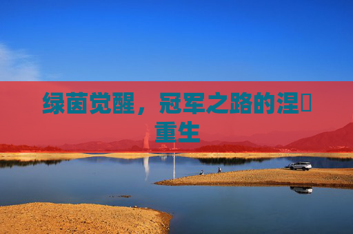 绿茵觉醒,冠军之路的涅槃重生