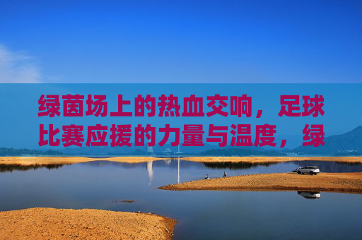 绿茵场上的热血交响,足球比赛应援的力量与温度,绿茵应援,热血交响的力量与温度