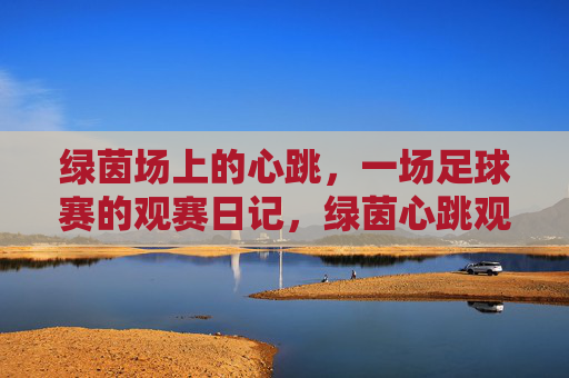 绿茵场上的心跳,一场足球赛的观赛日记,绿茵心跳观赛日记