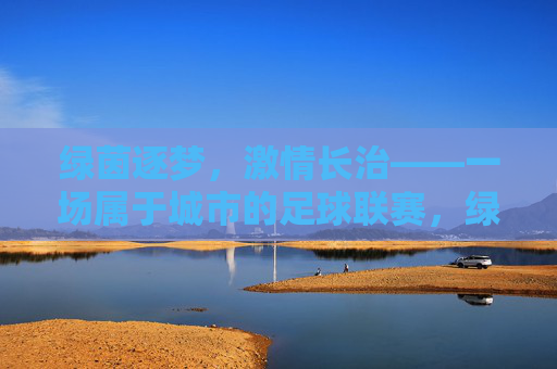 绿茵逐梦,激情长治——一场属于城市的足球联赛,绿茵逐梦,激情长治——城市足球联赛