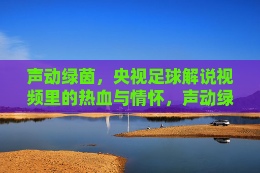 声动绿茵,央视足球解说视频里的热血与情怀,声动绿茵,央视足球解说的热血与情怀