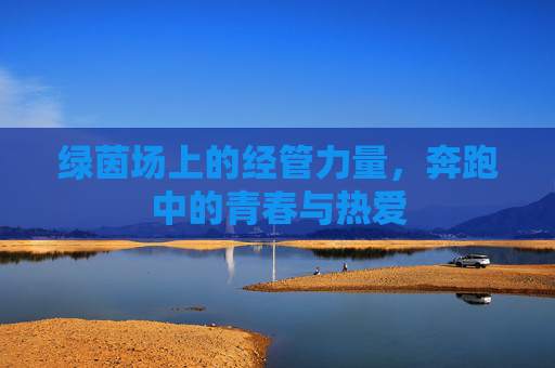 绿茵场上的经管力量,奔跑中的青春与热爱