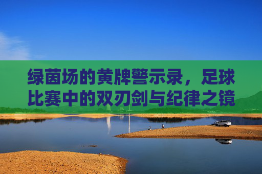 绿茵场的黄牌警示录,足球比赛中的双刃剑与纪律之镜