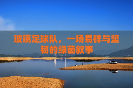 玻璃足球队,一场易碎与坚韧的绿茵叙事