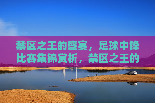 禁区之王的盛宴,足球中锋比赛集锦赏析,禁区之王的盛宴,足球中锋比赛集锦赏析