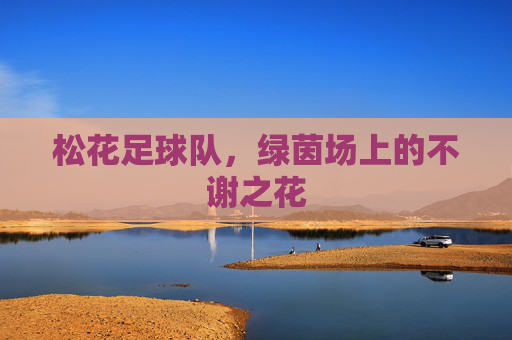 松花足球队,绿茵场上的不谢之花