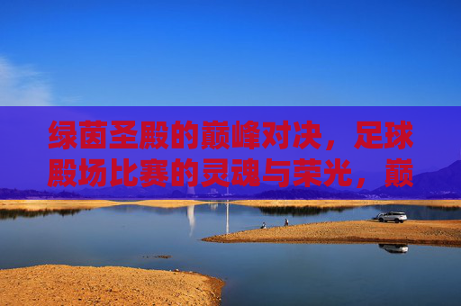 绿茵圣殿的巅峰对决,足球殿场比赛的灵魂与荣光,巅峰对决,绿茵圣殿的灵魂与荣光