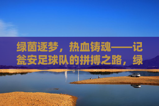 绿茵逐梦，热血铸魂——记瓮安足球队的拼搏之路，绿茵逐梦，热血铸魂——瓮安足球队拼搏之路