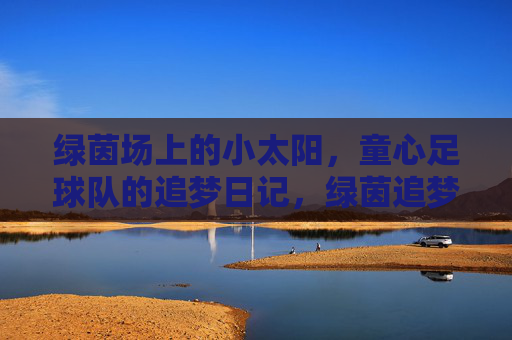 绿茵场上的小太阳,童心足球队的追梦日记,绿茵追梦,童心足球队的小太阳日记