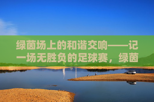 绿茵场上的和谐交响——记一场无胜负的足球赛,绿茵场上的和谐无胜负之战