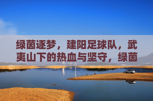 绿茵逐梦，建阳足球队，武夷山下的热血与坚守，绿茵逐梦，武夷山下建阳足球队的热血坚守