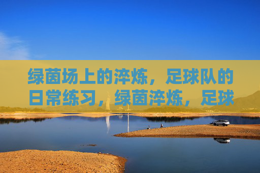 绿茵场上的淬炼,足球队的日常练习,绿茵淬炼,足球队的日常磨砺