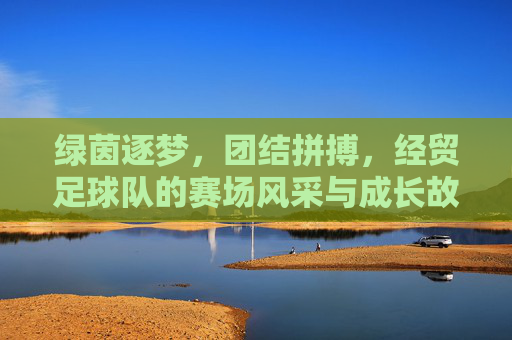 绿茵逐梦，团结拼搏，经贸足球队的赛场风采与成长故事，绿茵逐梦，团结拼搏，经贸足球队的赛场风采与成长