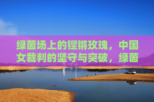 绿茵场上的铿锵玫瑰，中国女裁判的坚守与突破，绿茵铿锵玫瑰，中国女裁判的坚守与突破